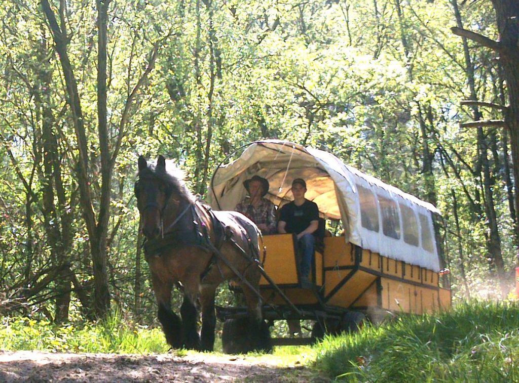 boerenpaard huifwagen feest limburg